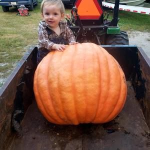 Meet your Posher, Dennis